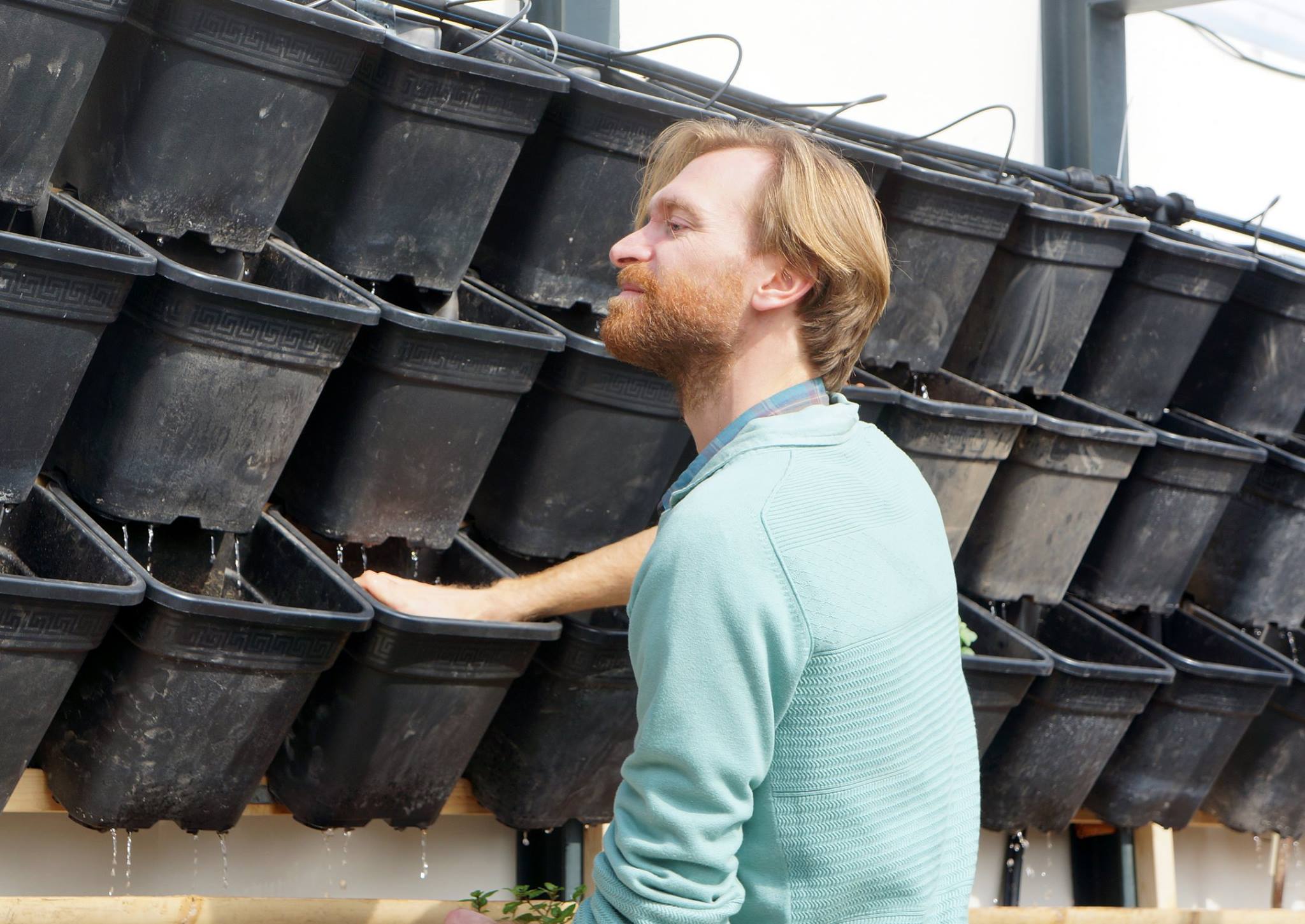 Foto bij Urban Farming Workshops in Amsterdam