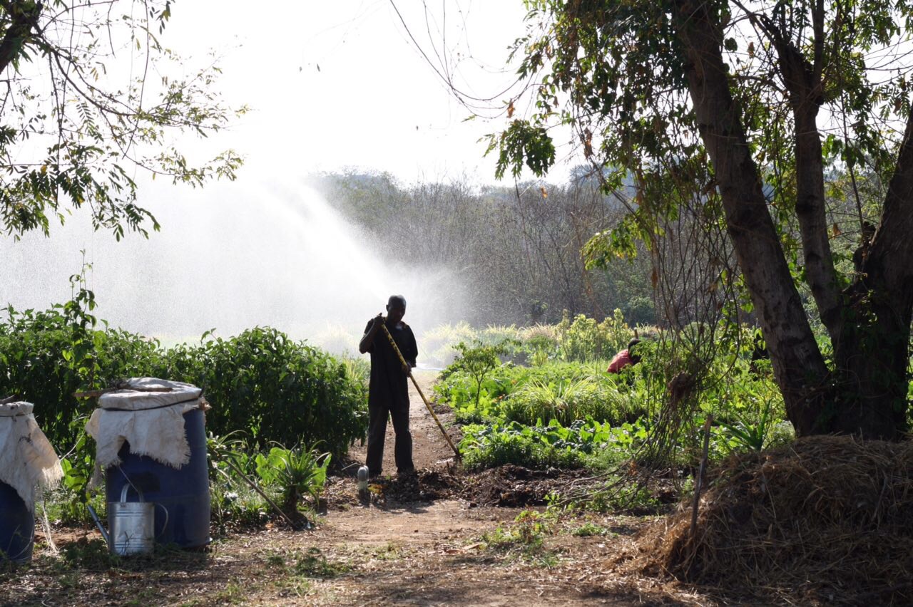 Kasisi Agricultural Training Centre