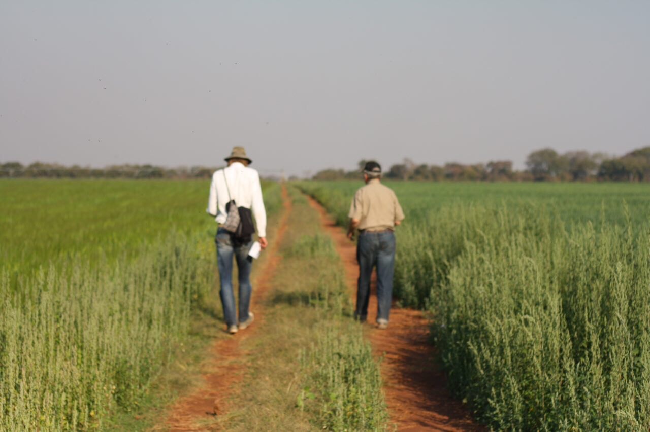 Foto bij Zambia | Kasisi Agricultural Training Centre